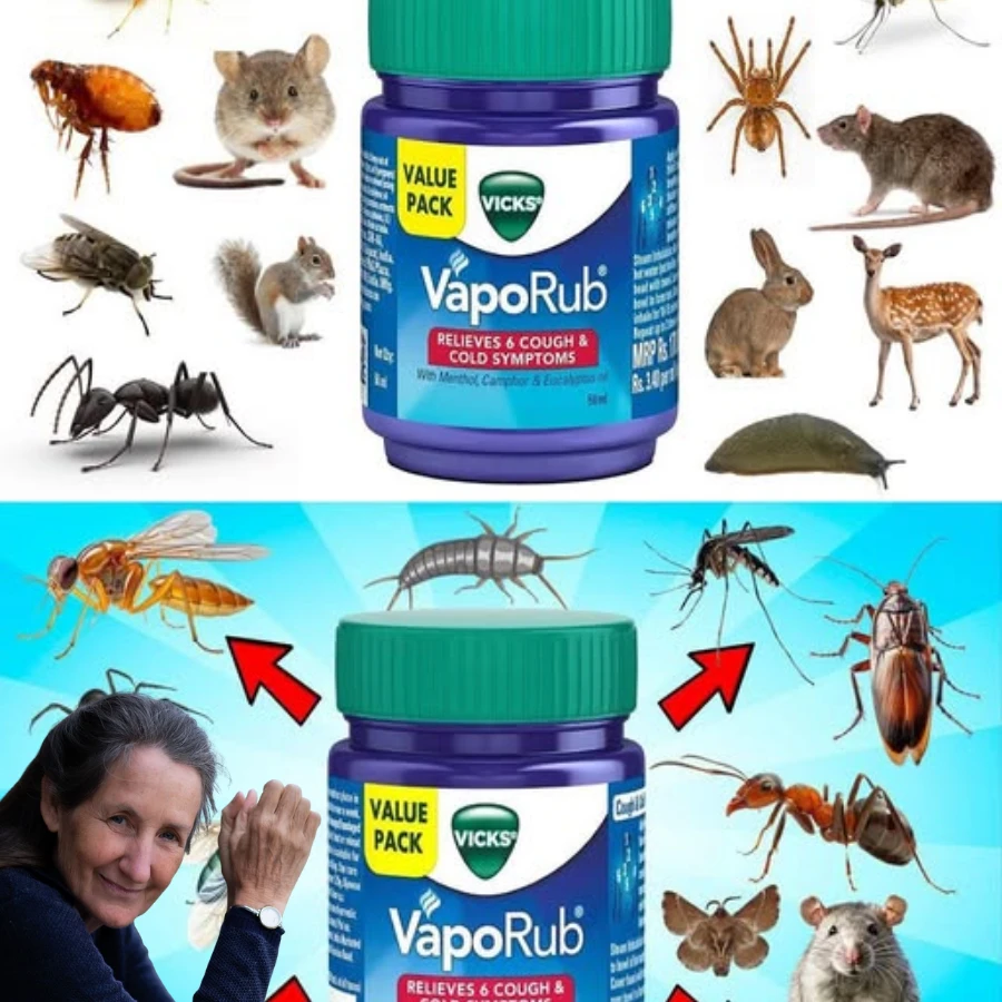 Repel Pests Naturally Using Mentholated Ointment: A Powerful Household ...