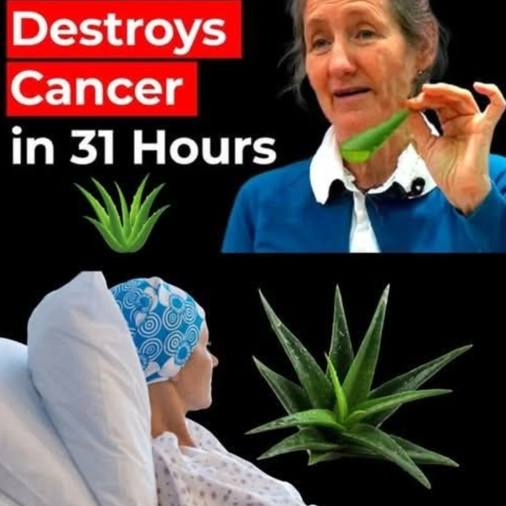 TCC Track Shocker: What Doctors Aren't Telling You About Your Body.