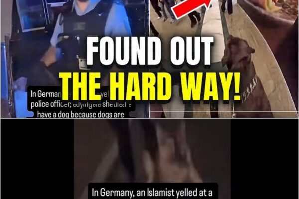 Islamists ATTACK The Wrong German Dog, Then Learn A Brutal Lesson!!