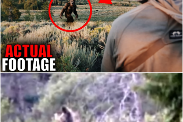 Amazing NEW BIGFOOT FOOTAGE It Must Be Seen to Be Believed