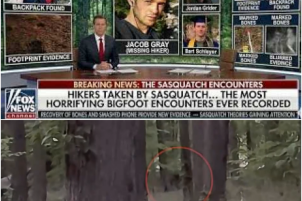 Hikers Taken By Sasquatch… The Most Horrifying Bigfoot Encounters Ever...